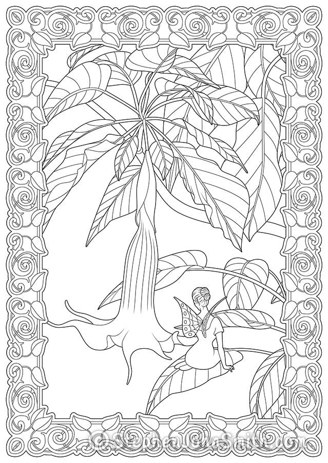A fairy sits on a datura leaf next to a hanging datura flower. Decorative leaf and swirls border. A digital drawing by Stephen John Smith.
