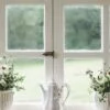 Windows with flowers