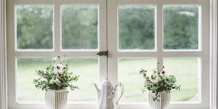 Windows with flowers